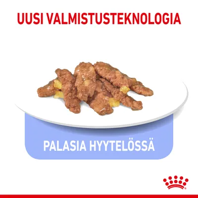 Uusi valmistusteknologia. Palasia hyytelössä. Lautasella ruskeita paloja hyytelössä, Royal Canin -brändi alareunassa.