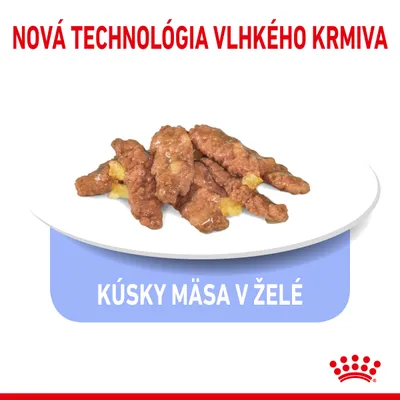 Nová technológia vlhkého krmiva, kúsky mäsa v želé na tanieri. Text: KÚSKY MÄSA V ŽELÉ.