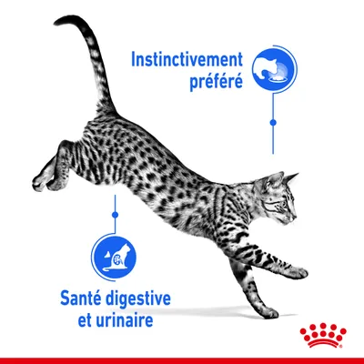 Texte visible : Instinctivement préféré, Santé digestive et urinaire. Chat tacheté en mouvement, logo Royal Canin en bas à droite.