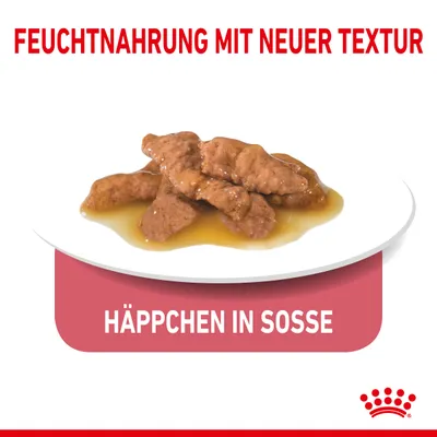 Feuchtnahrung mit neuer Textur. Häppchen in Soße auf weißem Teller, Royal Canin Logo unten rechts.