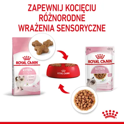 ROYAL CANIN Kitten do 12 miesięcy, karma sucha i mokra dla kociąt, opakowania 400 g i 85 g, miska z karmą. Napis: Zapewnij kocięciu różnorodne wrażenia sensoryczne.