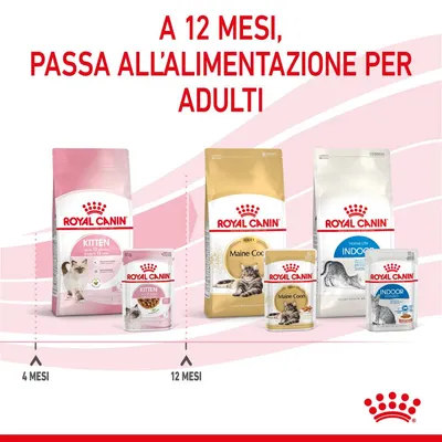 A 12 mesi, passa all’alimentazione per adulti. Prodotti Royal Canin Kitten fino a 12 mesi, poi Maine Coon Adult e Indoor Adult. Indicazioni: 4 mesi, 12 mesi.