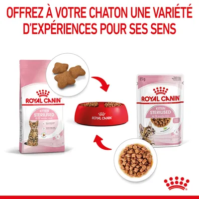 ROYAL CANIN Kitten Sterilised 6–12 months, croquettes en sachet et pâtée en barquette de 85 g, gamelle rouge avec logo, texte : Offrez à votre chaton une variété d’expériences pour ses sens.