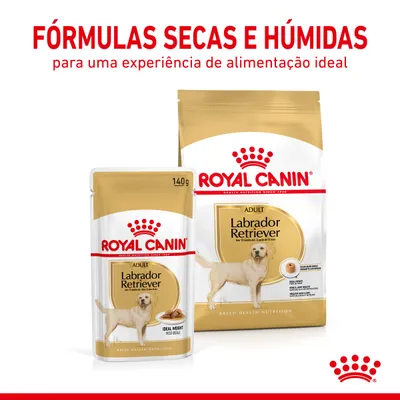 Royal Canin Adult Labrador Retriever, fórmulas secas e húmidas. Embalagens visíveis: saco grande e saqueta 140 g. Texto: 'para uma experiência de alimentação ideal'.
