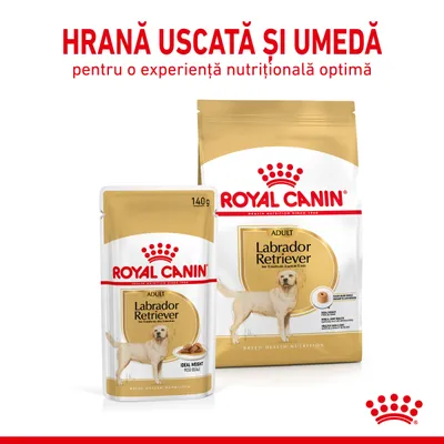 Pachet hrană Royal Canin Adult Labrador Retriever, uscată și umedă, 140g. Text vizibil: „Hrană uscată și umedă pentru o experiență nutrițională optimă”.