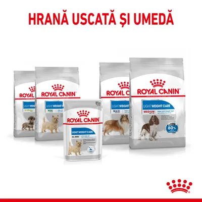 Pachete Royal Canin Light Weight Care pentru câini, uscat și umed, variante X-Small, Mini, Maxi, Medium, All Sizes. Text vizibil: HRANĂ USCATĂ ȘI UMEDĂ.