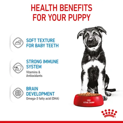 Health benefits for your puppy: soft texture for baby teeth, strong immune system with vitamins and antioxidants, brain development with omega-3 fatty acid (DHA).