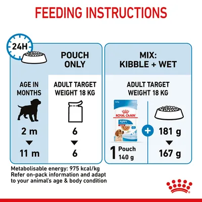Feeding instructions for 18kg adult target weight: pouch only, 6 pouches daily from 2 to 11 months; mix option, 1 pouch plus 181g to 167g kibble. Energy: 975 kcal/kg.