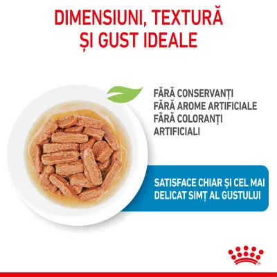 Dimensiuni, textură și gust ideale. Fără conservanți, fără arome artificiale, fără coloranți artificiali. Satisface chiar și cel mai delicat simț al gustului. Imagine cu hrană umedă în bol.