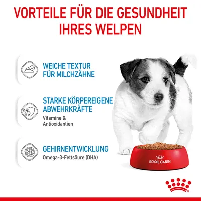 Texte en allemand : VORTEILE FÜR DIE GESUNDHEIT IHRES WELPEN. Weiche Textur für Milchzähne, starke körpereigene Abwehrkräfte, Gehirnentwicklung. Royal Canin.