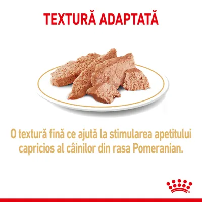 TEXTURĂ ADAPTATĂ. O textură fină ce ajută la stimularea apetitului capricios al câinilor din rasa Pomeranian. Imagine cu hrană umedă pe farfurie.