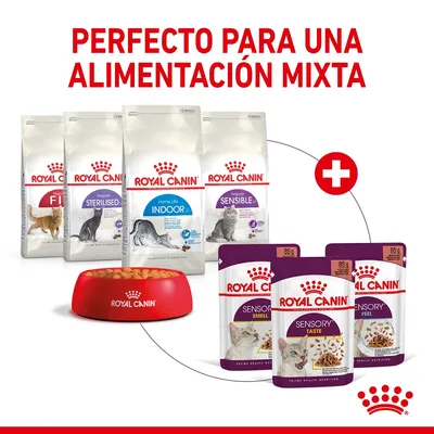 Royal Canin: pienso seco Fit, Sterilised, Indoor 27, Sensible y comida húmeda Sensory Smell, Taste, Feel. Texto: Perfecto para una alimentación mixta.