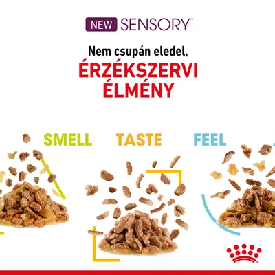 NEW SENSORY. Nem csupán eledel, ÉRZÉKSZERVI ÉLMÉNY. SMELL, TASTE, FEEL feliratok három adag állateledel felett. Royal Canin logó.