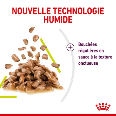 Nouvelle technologie humide. Bouchées régulières en sauce à la texture onctueuse. Morceaux de nourriture humide en sauce visibles.