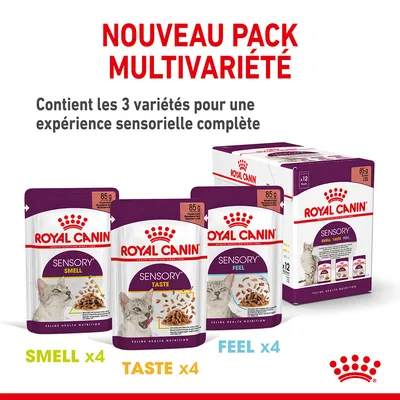 Royal Canin Sensory pack multivariété pour chat, 12 sachets de 85 g : 4 Smell, 4 Taste, 4 Feel. Contient les 3 variétés pour une expérience sensorielle complète. Texte en français et anglais.