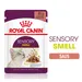 Royal Canin Sensory Smell in Saus