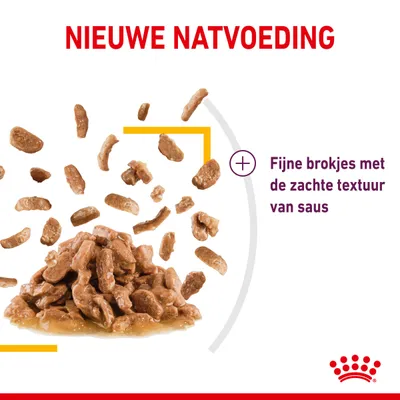 Royal Canin Sensory Taste in Saus Kattenvoer