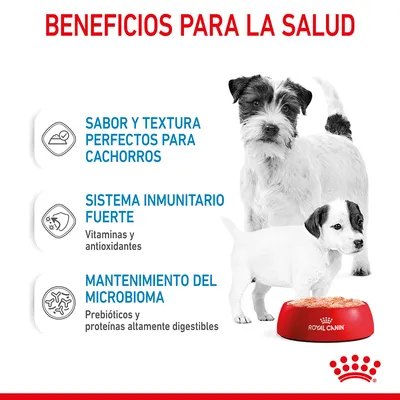 Beneficios para la salud: sabor y textura perfectos para cachorros, sistema inmunitario fuerte con vitaminas y antioxidantes, mantenimiento del microbioma con prebióticos y proteínas digestibles.