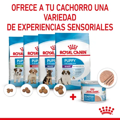 Variedad de comida Royal Canin Puppy: sacos Mini, Medium, Maxi y Giant para cachorros, más lata Starter. Texto visible: 'Ofrece a tu cachorro una variedad de experiencias sensoriales'.