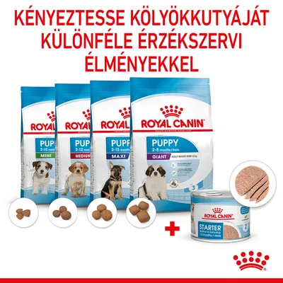 ROYAL CANIN Puppy Mini, Medium, Maxi, Giant száraztáp kölyökkutyáknak, különböző méretű szemekkel, valamint Starter nedvestáp konzerv. Felirat: KÉNYEZTESSE KÖLYÖKKUTYÁJÁT KÜLÖNFÉLE ÉRZÉKSZERVI ÉLMÉNYEKKEL