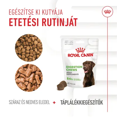 Royal Canin Digestion Chews Adult Supplements, 84% of owners are satisfied, 40 darab. Száraz és nedves eledel, táplálékkiegészítők. Egészítse ki kutyája etetési rutinját.