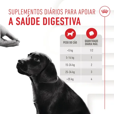 Tabela de quantidade diária máxima de suplemento por peso do cão: <5 kg 1/2, 5–14 kg 1, 15–24 kg 2, 25–34 kg 3, >35 kg 4. Texto: Suplementos diários para apoiar a saúde digestiva.