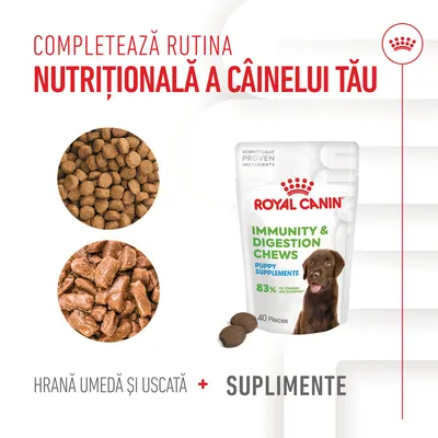 Royal Canin Immunity & Digestion Chews Puppy Supplements, 40 bucăți. Hrană umedă și uscată plus suplimente pentru câini. Completează rutina nutrițională a câinelui tău.