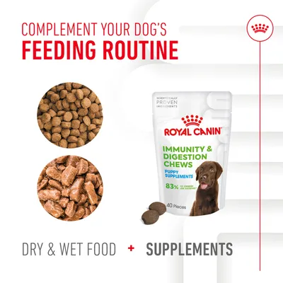 Image shows dry food, wet food, and Royal Canin Immunity & Digestion Chews puppy supplements with text: Complement your dog's feeding routine. Dry & wet food plus supplements.