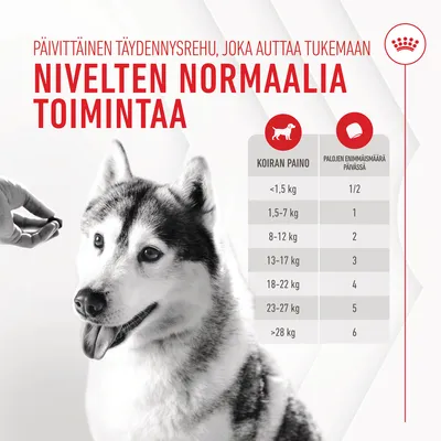 Ruokintaohje koiran painon mukaan: alle 1,5 kg 1/2 palaa, 1,5–7 kg 1, 8–12 kg 2, 13–17 kg 3, 18–22 kg 4, 23–27 kg 5, yli 28 kg 6 palaa päivässä. Nivelten normaalia toimintaa tukeva täydennysrehu.