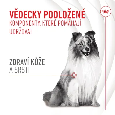 Vědecky podložené komponenty, které pomáhají udržovat zdraví kůže a srsti. Obrázek psa s textem zvýrazňujícím péči o kůži a srst.