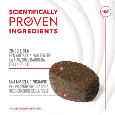 Testo: Scientifically proven ingredients. Zinco e GLA per aiutare a mantenere la funzione barriera della pelle. Una miscela di vitamine per promuovere una sana rigenerazione della pelle.