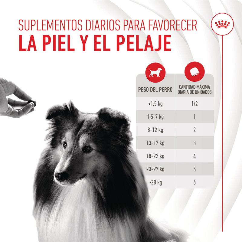 Royal Canin Skin & Coat Adult Suplemento masticable