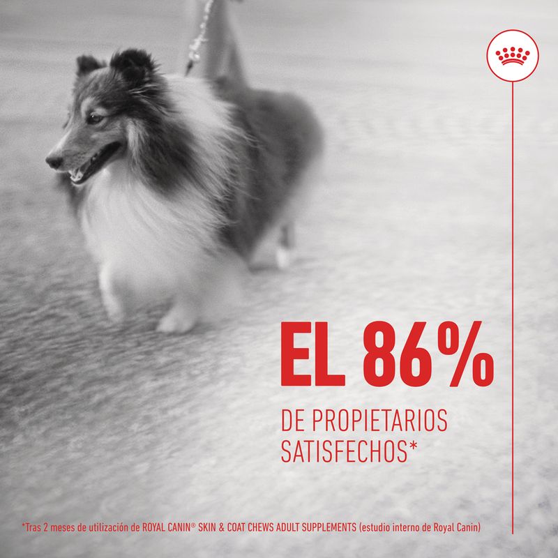 Royal Canin Skin & Coat Adult Suplemento masticable