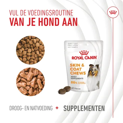 Vul de voedingsroutine van je hond aan. Royal Canin Skin & Coat Chews adult supplements, 86% of owners are satisfied, 60 pieces. Droog- en natvoeding + supplementen.