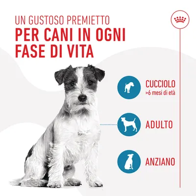 Un gustoso premietto per cani in ogni fase di vita. Cucciolo >6 mesi di età, adulto, anziano. Immagine di un cane seduto al centro.