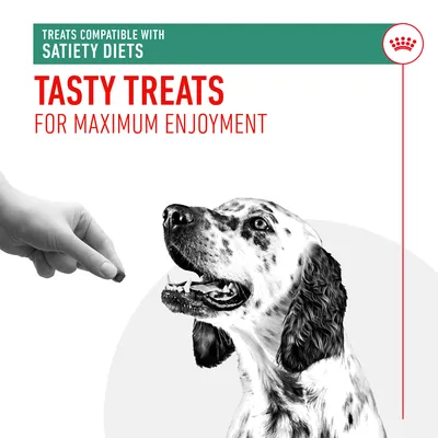 Treats compatible with satiety diets. Tasty treats for maximum enjoyment. Image shows a hand offering a treat to a dog.
