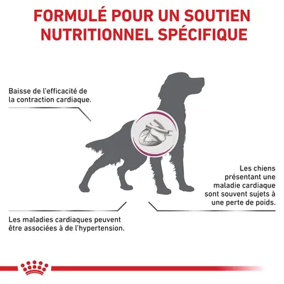 Formulé pour un soutien nutritionnel spécifique. Baisse de l’efficacité de la contraction cardiaque. Maladies cardiaques et hypertension. Perte de poids chez les chiens malades du cœur.