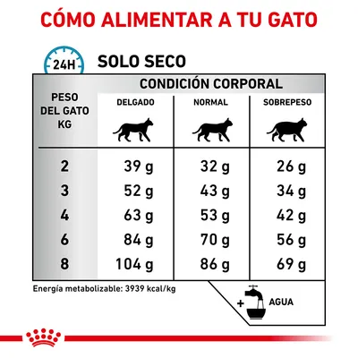 Tabla de alimentación diaria para gatos según peso (2–8 kg) y condición corporal: delgado, normal o sobrepeso. Incluye cantidades en gramos y recordatorio de agua. Energía: 3939 kcal/kg.