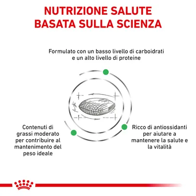 Nutrizione salute basata sulla scienza. Basso livello di carboidrati, alto livello di proteine, grassi moderati per il peso ideale, ricco di antiossidanti per salute e vitalità.