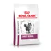 Royal Canin Veterinary Early Renal pour chat