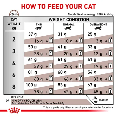 Feeding guide table showing daily dry and mixed food amounts by cat weight and condition: thin, normal, overweight. Includes water advice and note to consult a veterinarian.