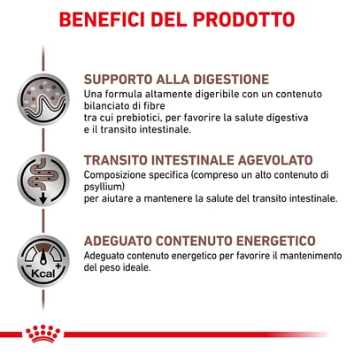Benefici del prodotto: supporto alla digestione, transito intestinale agevolato, adeguato contenuto energetico. Testo in italiano con icone illustrative.