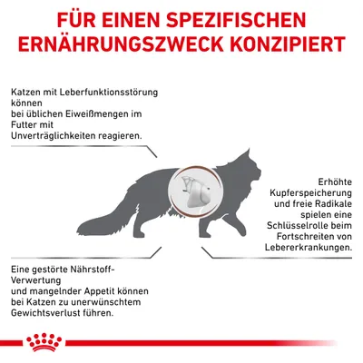 Für einen spezifischen Ernährungszweck konzipiert: Katzen mit Leberfunktionsstörung können auf übliche Eiweissmengen im Futter mit Unverträglichkeiten reagieren. Erhöhte Kupferspeicherung und freie Radikale spielen eine Schlüsselrolle beim Fortschreiten von Lebererkrankungen. Gestörte Nährstoffverwertung und mangelnder Appetit führen zu unerwünschtem Gewichtsverlust.