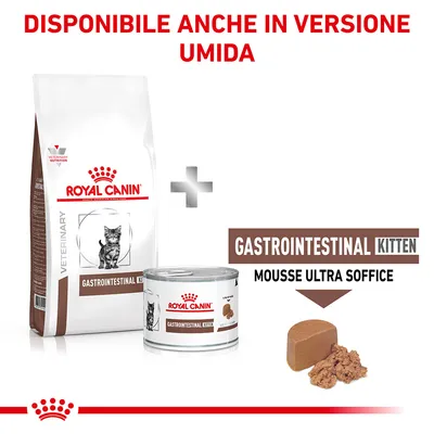 Royal Canin Gastrointestinal Kitten secco e umido, disponibile anche in versione mousse ultra soffice. Testo visibile: DISPONIBILE ANCHE IN VERSIONE UMIDA, GASTROINTESTINAL KITTEN MOUSSE ULTRA SOFFICE.