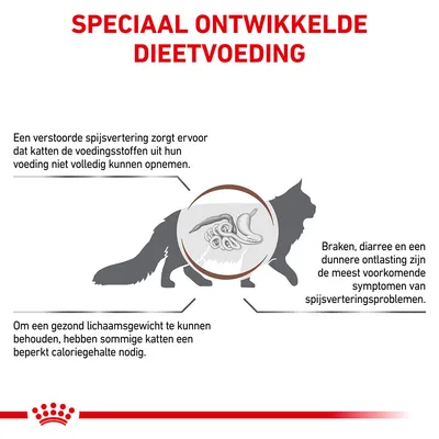 Speciaal ontwikkelde dieetvoeding. Tekst: verstoorde spijsvertering belemmert opname voedingsstoffen, symptomen zijn braken/diarree, sommige katten hebben beperkt caloriegehalte nodig.
