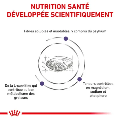 NUTRITION SANTÉ DÉVELOPPÉE SCIENTIFIQUEMENT. Fibres solubles et insolubles, y compris du psyllium. L-carnitine pour le métabolisme des graisses. Teneurs contrôlées en magnésium, sodium, phosphore.