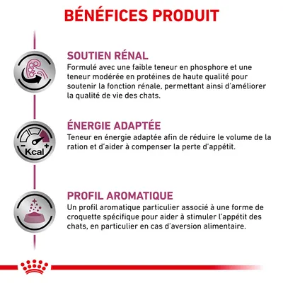 BÉNÉFICES PRODUIT : SOUTIEN RÉNAL, ÉNERGIE ADAPTÉE, PROFIL AROMATIQUE. Détails sur la formulation pour chats, énergie adaptée et stimulation de l’appétit visibles dans l’image.