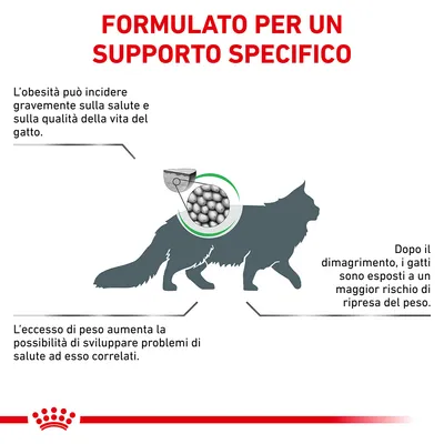 FORMULATO PER UN SUPPORTO SPECIFICO. L'obesità può incidere gravemente sulla salute e sulla qualità della vita del gatto. L'eccesso di peso aumenta la possibilità di problemi di salute correlati. Dopo il dimagrimento, i gatti sono esposti a un maggior rischio di ripresa del peso.