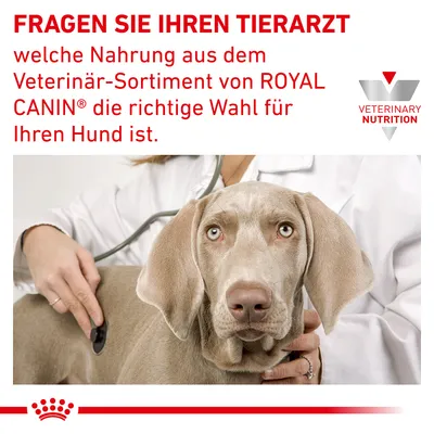 Fragen Sie Ihren Tierarzt, welche Nahrung aus dem Veterinär-Sortiment von Royal Canin die richtige Wahl für Ihren Hund ist. Veterinary Nutrition Logo sichtbar.