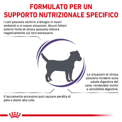 FORMULATO PER UN SUPPORTO NUTRIZIONALE SPECIFICO. Testo: I cani possono sentirsi a disagio in nuovi ambienti. Lo stress può influire sul benessere, salute digestiva e causare perdita di pelo.